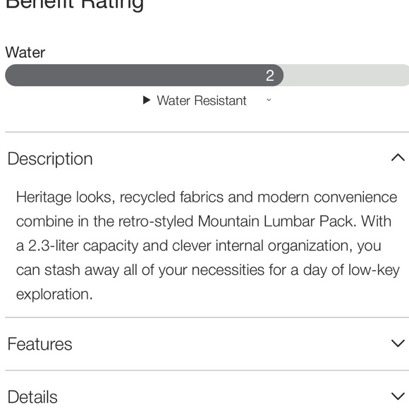 The North Face Mountain Lumbar Pack - Picture 8 of 12